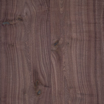 Oak Veneer
